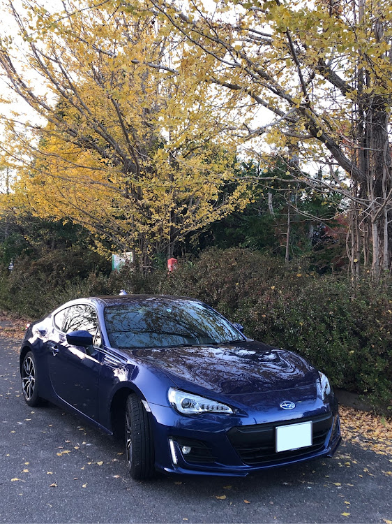 BRZのススキ野原・イチョウの紅葉・河内貯水池・自主練は怠りなく、登ったり降りたりに関するカスタム事例の投稿画像3枚目