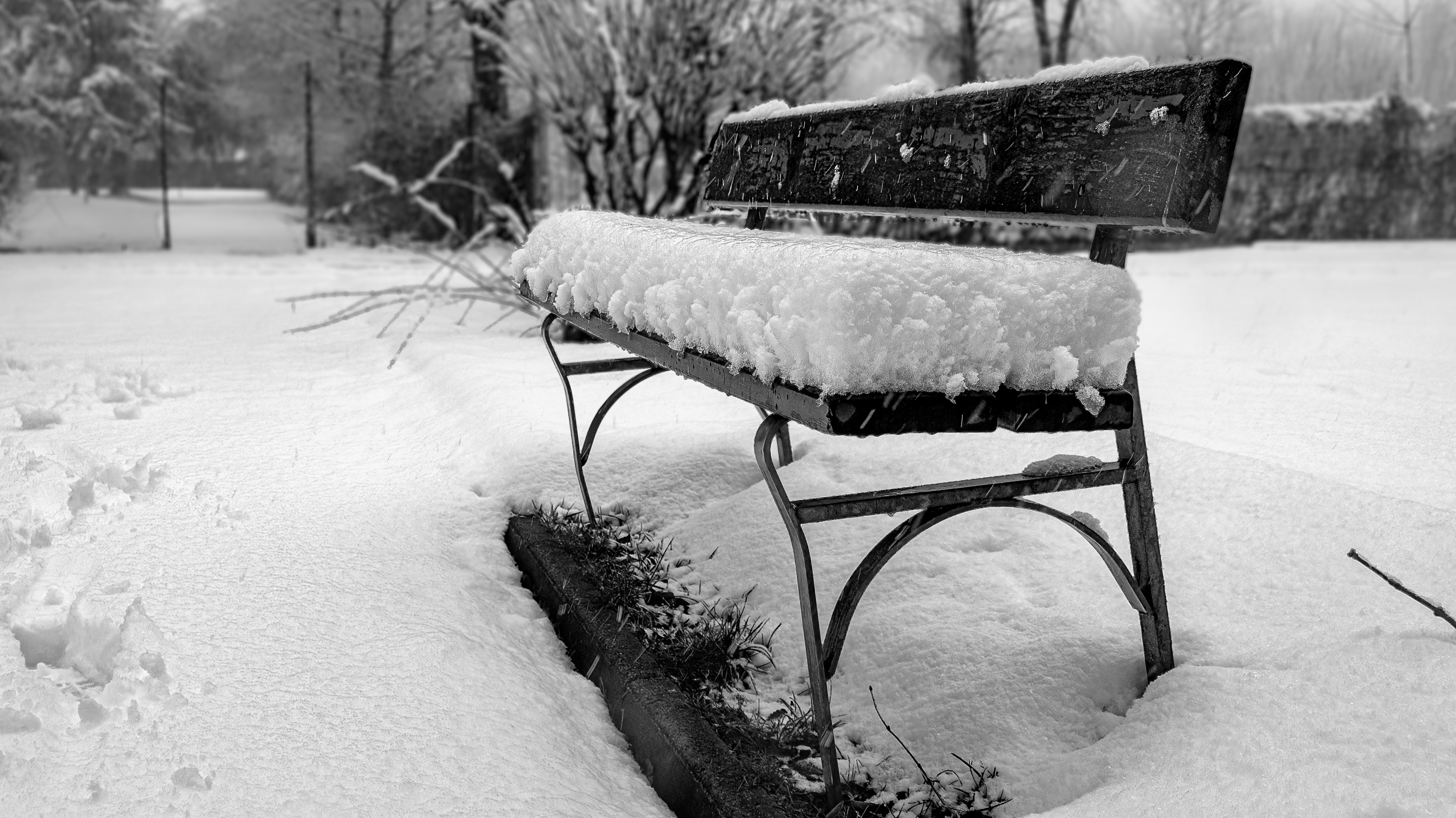 Cuscino di neve di Pino Cappellano