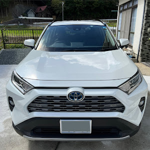 RAV4 AXAH52