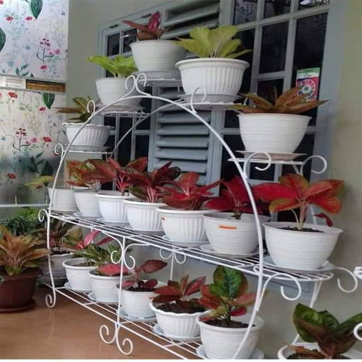 Creative flower shelf design