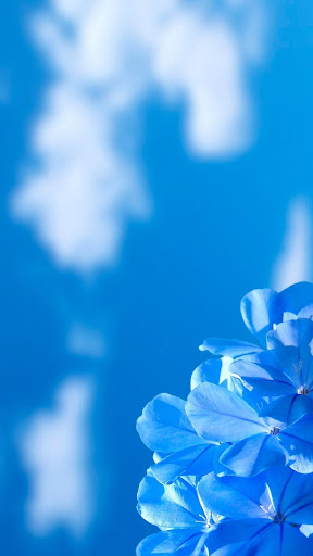 HD POCO F1 Wallpaper