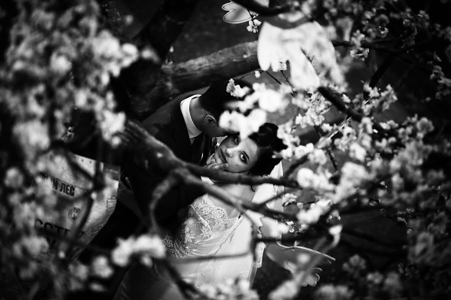 Wedding photographer Roman Kupriyanov (r0mk). Photo of 17 May 2015