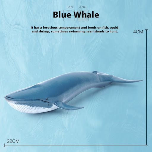 Blue Whale