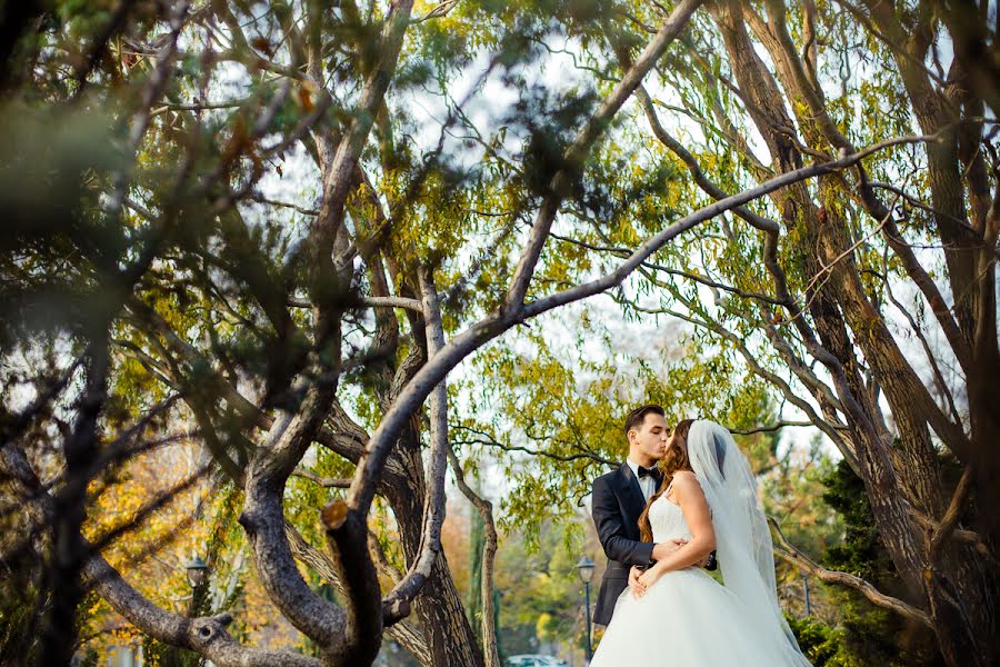 Wedding photographer Aleksandr Khmelevskiy (salaga). Photo of 19 March 2014