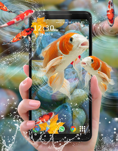 3D Koi Fish Live Wallpaper -HD Live Wallpaper 2019