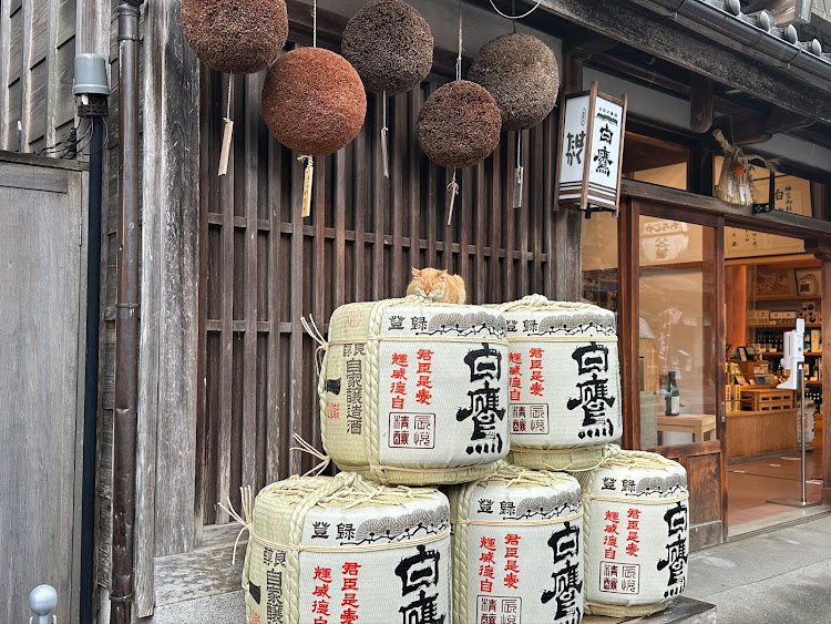 セレナの久しぶりの遠方ドライブ・御伊勢参り・おはらい町・おかげ横丁・食べ歩きに関するカスタム事例の投稿画像11枚目