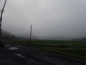 雨上がりの朝