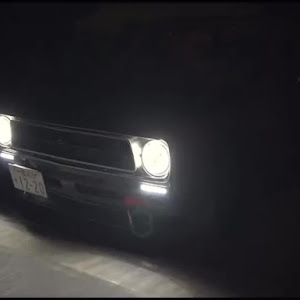 サニートラック