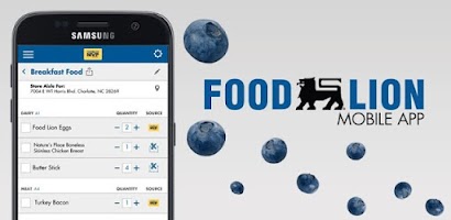 Food Lion Screenshot