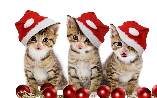 Christmas Kittens New Tab Theme