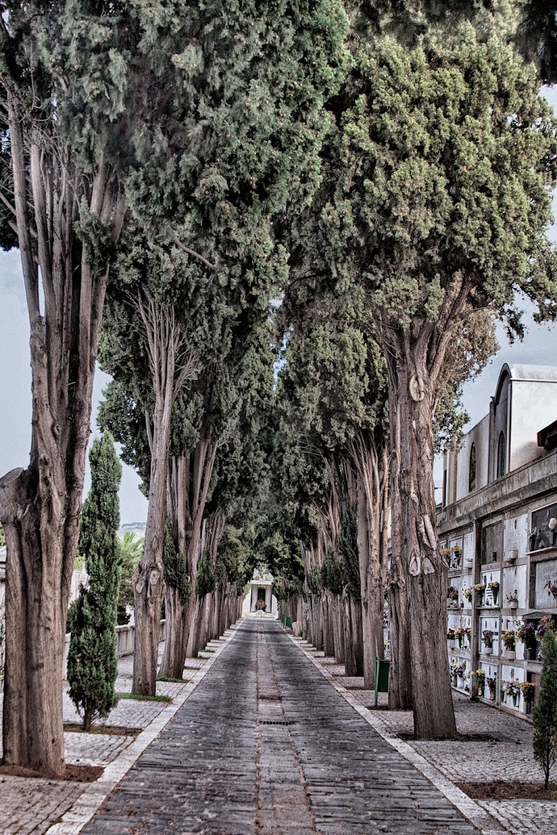  l'epilogo della vita di Fiorenza Aldo Photo