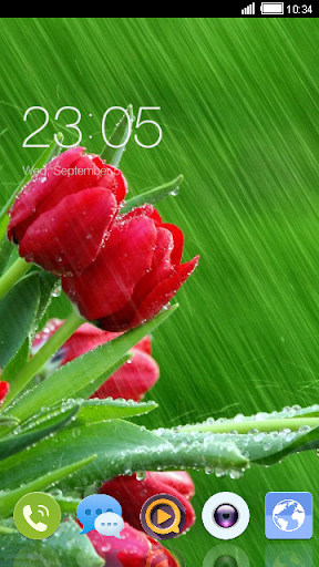 Rain Tulips CLauncher Theme