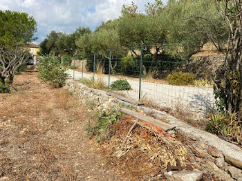 terrain à Cuers (83)