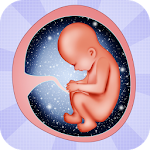 Pregnancy tips Week by week Apk