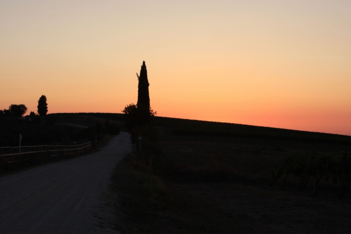 Tramonto in controluce di Gio