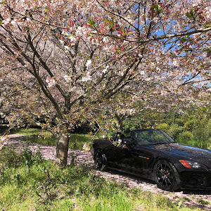 S2000 AP1