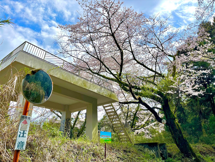 の投稿画像31枚目