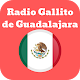 radio gallito de guadalajara 760 am Download on Windows