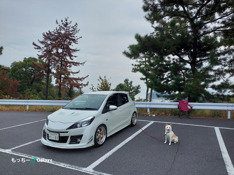 ヴィッツの岡山・写活の秋・紅葉🍁撮影会・遠路はるばるフォロワーさん🙌・ピックアップチャレンジに関するカスタム事例の投稿画像3枚目