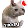 Cat Memes Stickers WASticker icon