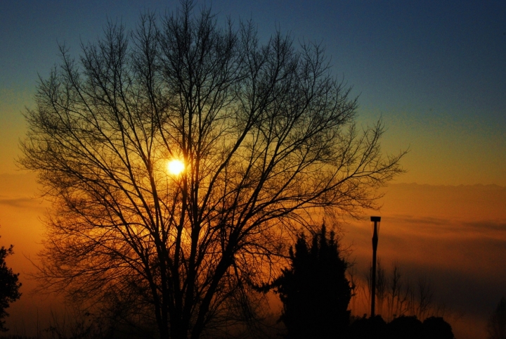 Al tramonto di estela