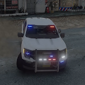 Police Van Crime Sim Games