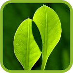 Cover Image of डाउनलोड Robot Mower V0.2.1 APK