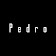 PEDRO icon