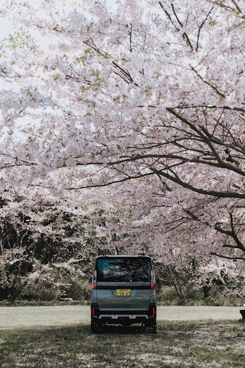 デリカミニのサクラと愛車・桜吹雪に関するカスタム事例の投稿画像3枚目