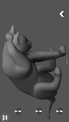 Cat Pose Tool 3Dのおすすめ画像5