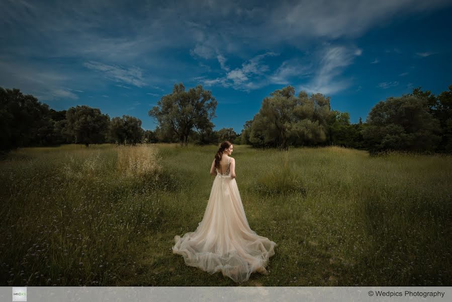 Vestuvių fotografas Panagiotis Orfanidis (wepicsphoto). Nuotrauka 2019 liepos 12