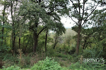 terrain à batir à Langeais (37)