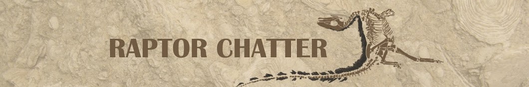 Raptor Chatter Banner