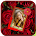 Flower Photo Frames New