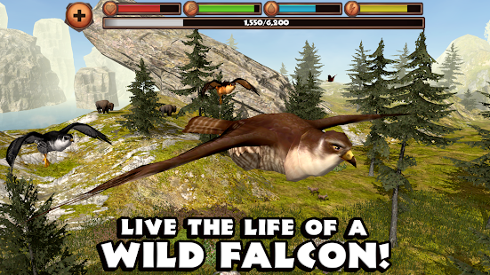 Falcon Simulator - screenshot thumbnail