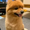 ユーザー