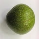 Download KALRO Avocado Varieties For PC Windows and Mac