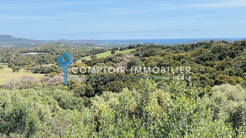 Vente maison 3 pièces 80 m² à Porto-Vecchio (20137), 766 500 €