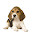 Beagle HD Wallpapers Dogs and Puppies Theme