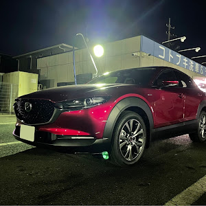 CX-30 DMEP
