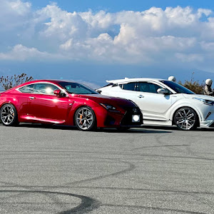 RC F USC10