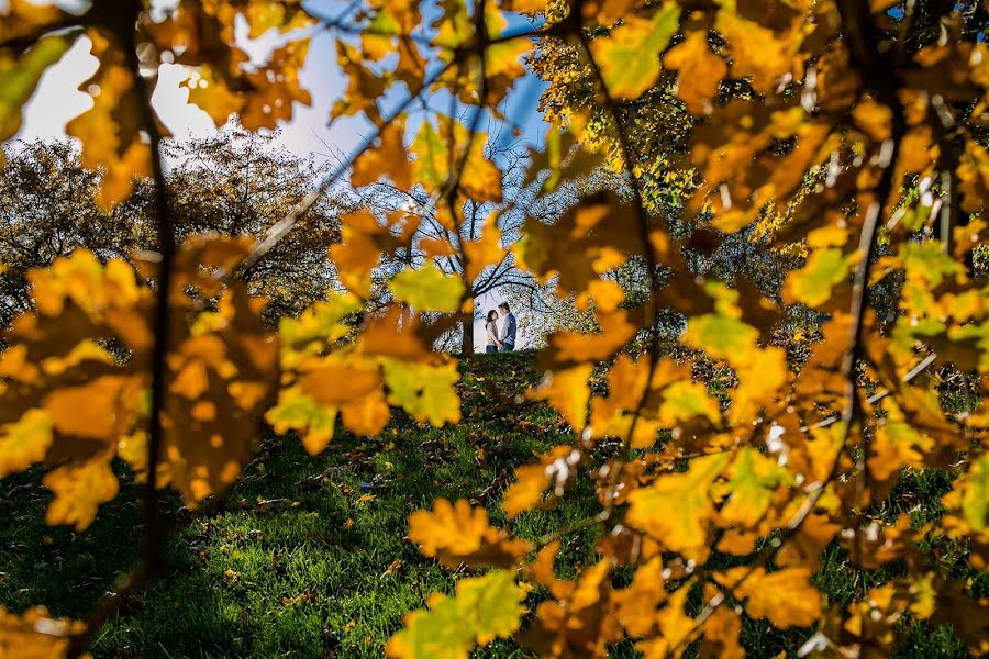 Wedding photographer Milan Lazic (wsphotography). Photo of 11 November 2021