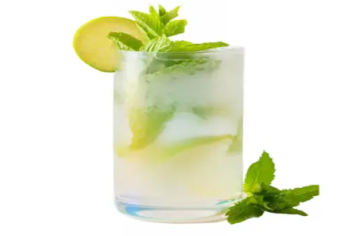 Classic Mint Mojito