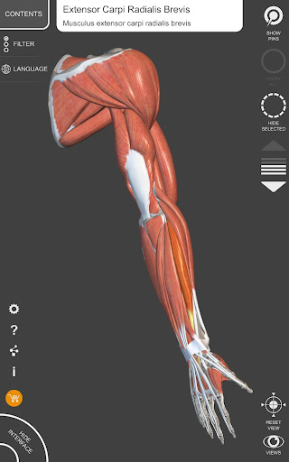 Muscle | Skeleton - 3D Atlas of Anatomy  screenshots 13