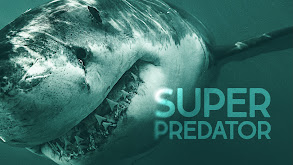 Super Predator thumbnail