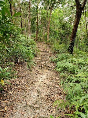 Bukit Besar Terengganu Hiking