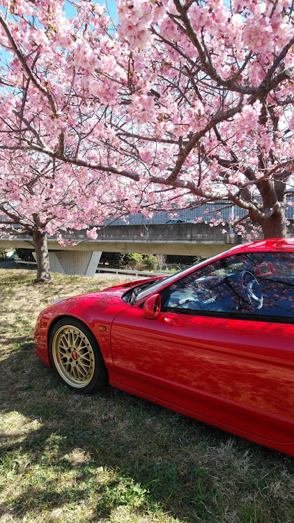 NSXの河津桜・河津桜とコラボに関するカスタム事例の投稿画像4枚目