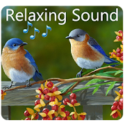 Birds Relaxing Sounds  Icon