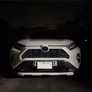 RAV4 MXAA54