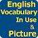 English Vocabulary In Use with Picture icon